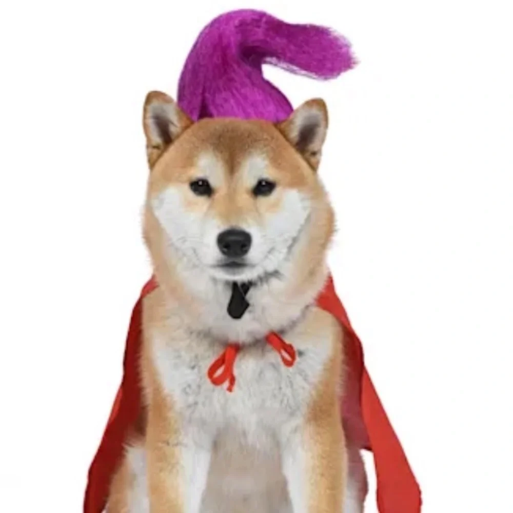 NWT Disney Mary Sanderson Dog Costume